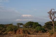 IMG 7822-Kenya, Kilimanjaro seen from Kimana Reserve